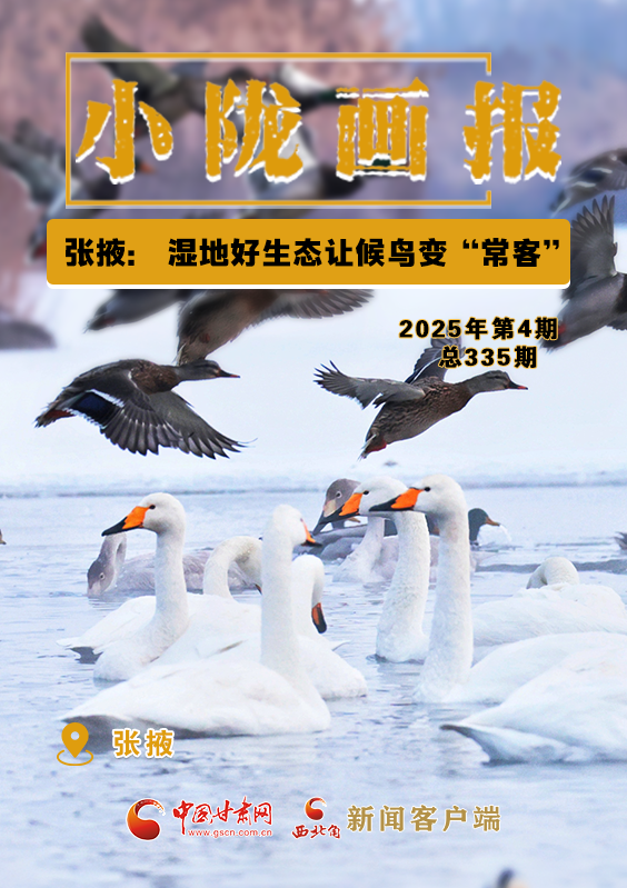 【小隴畫(huà)報(bào)·335期】張掖： 濕地好生態(tài)讓候鳥(niǎo)變“常客”