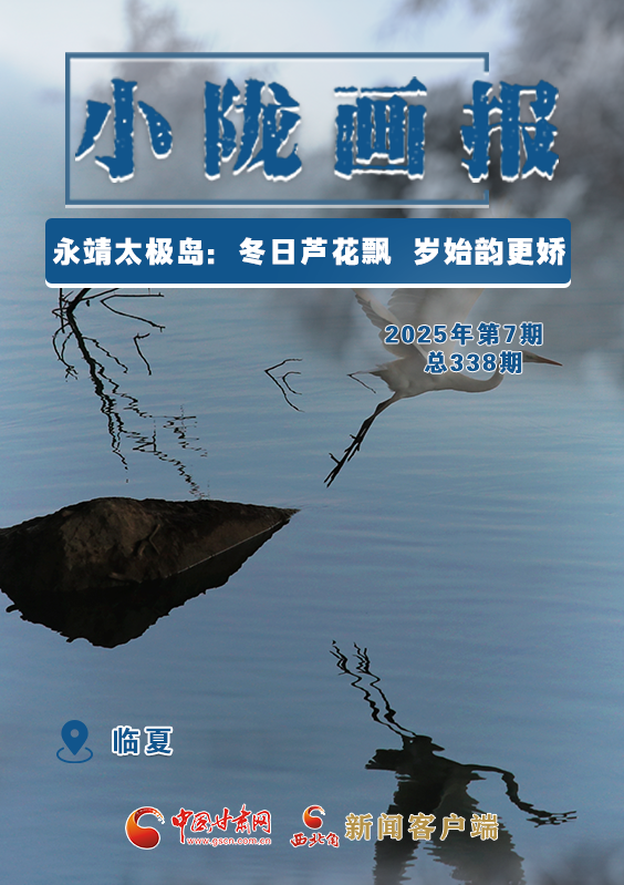 【小隴畫報·338期】永靖太極島：冬日蘆花飄 歲始韻更嬌